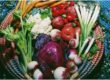 Healthy Food