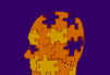 Brain Puzzle